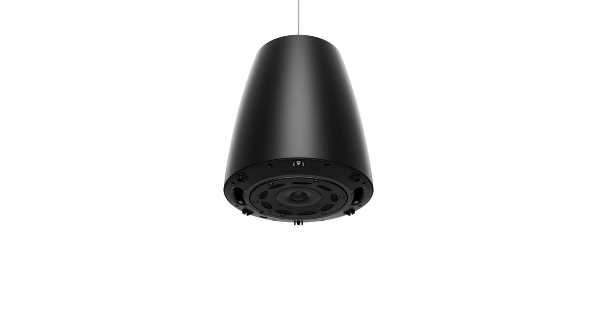 Bose Professional Designmax DM6PE Roikkuva säänkestävä kaiutin, ammattilaiskäyttöön