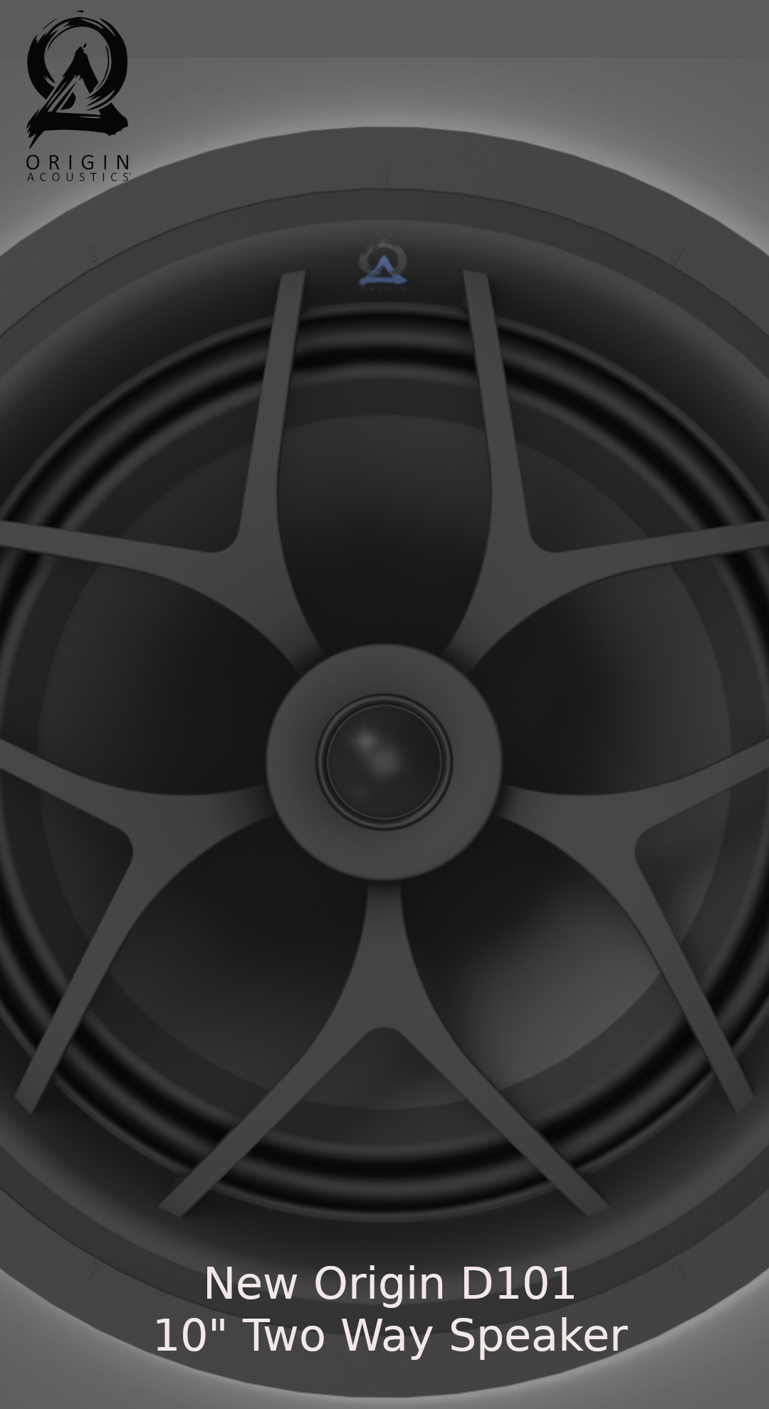 Origin Acoustics D101