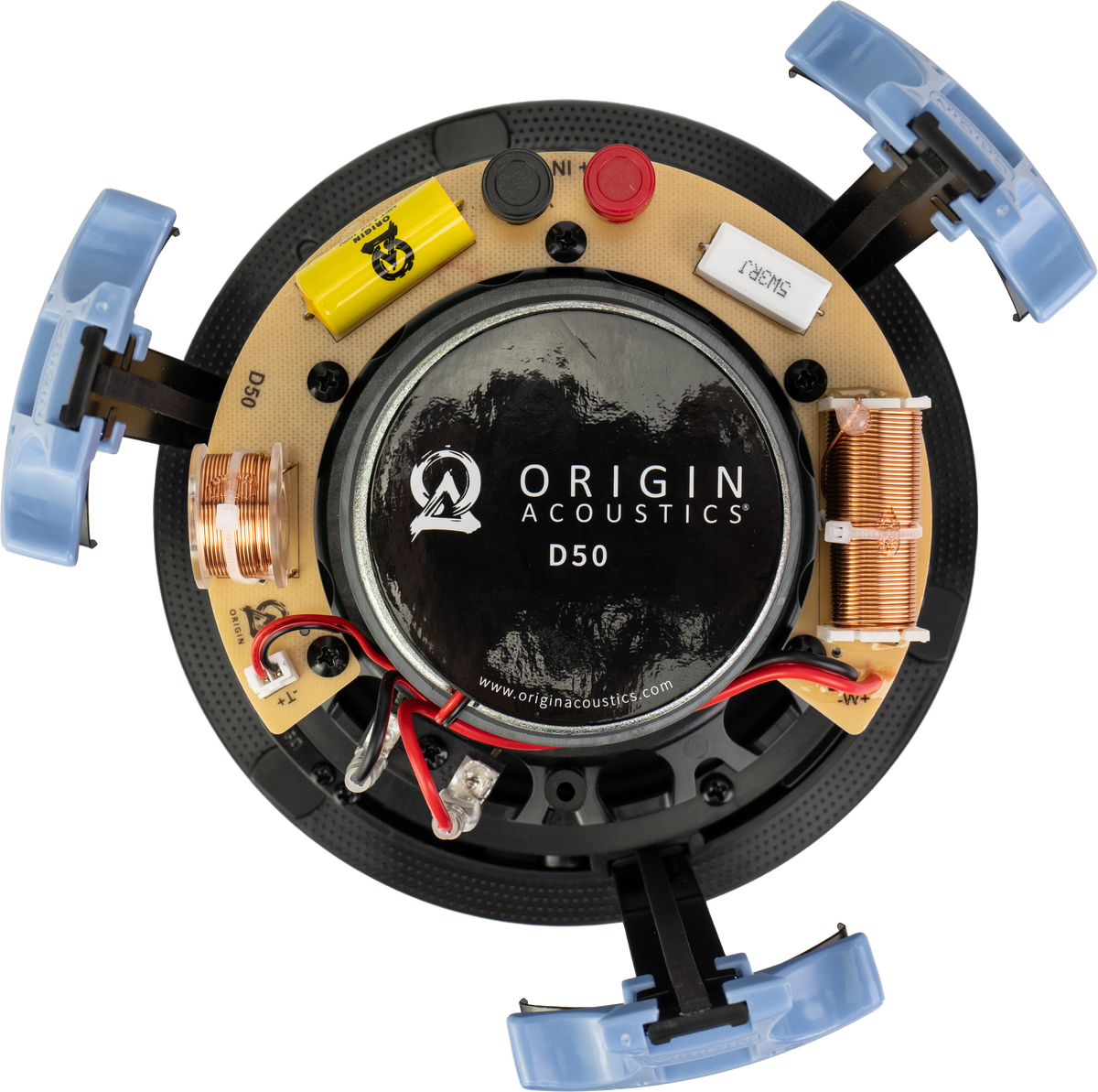 Origin Acoustics D50-8