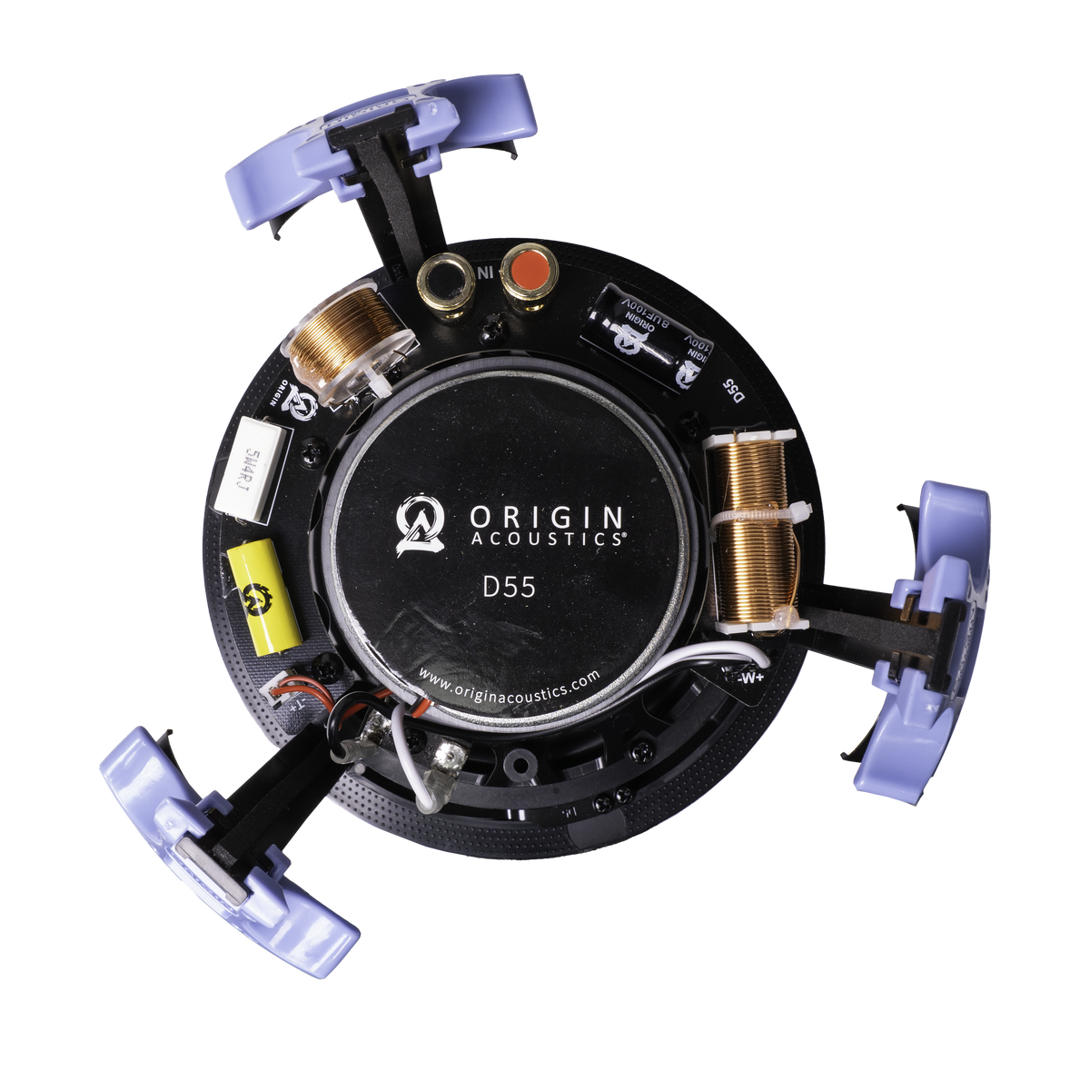 Origin Acoustics D55