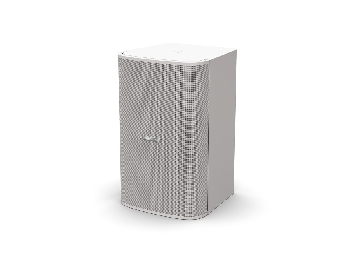 Bose Professional DesignMax DM10S-SUB – Pinta-asennettava 10" ammattilais-subwoofer